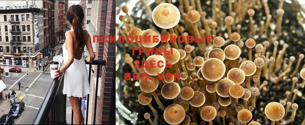 МДПВ Абинск