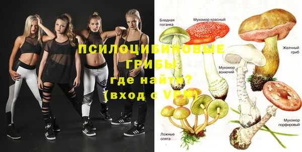 МДПВ Абинск