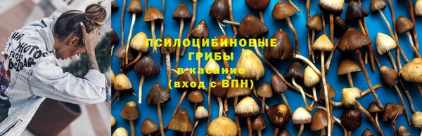 гашишное масло Абаза